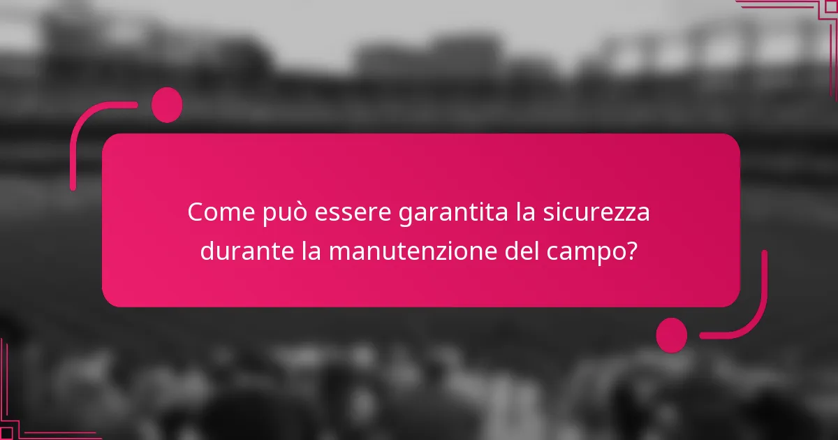 Come può essere garantita la sicurezza durante la manutenzione del campo?